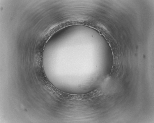 X0000060240773200511111928