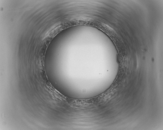 X0000060240774200511111928