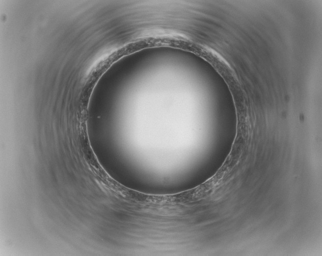 X0000060240775200511111928