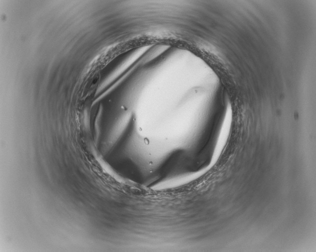 X0000060240776200511111928