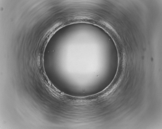 X0000060240777200511111928