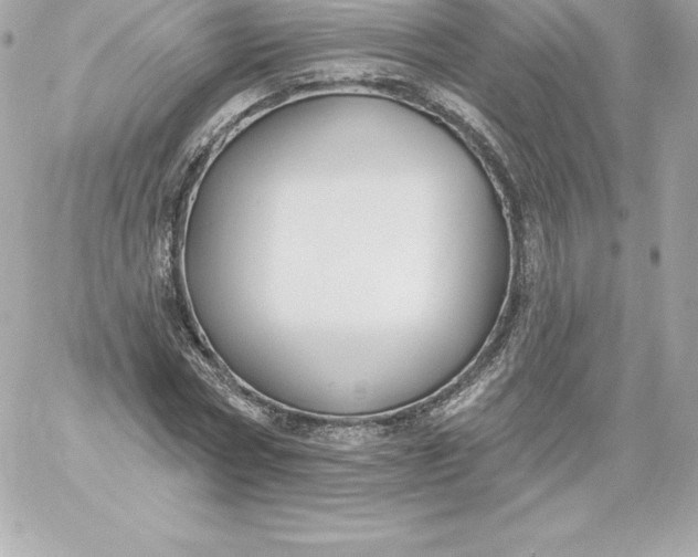 X0000060240778200511111928