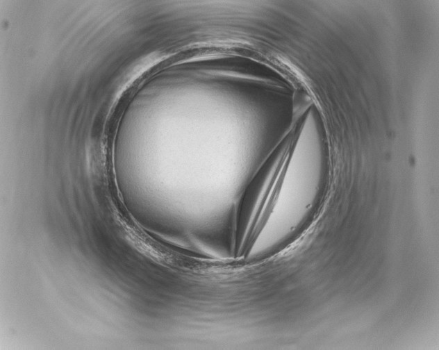 X0000060240779200511111928