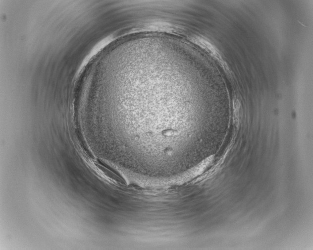 X0000060240780200511111928