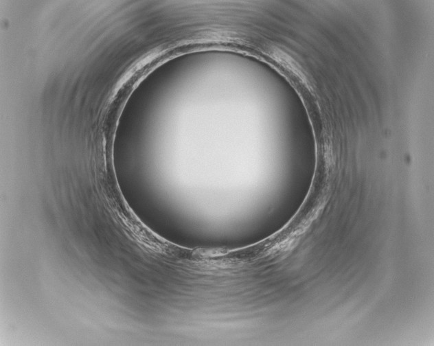 X0000060240781200511111928