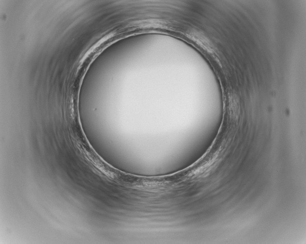 X0000060240782200511111928