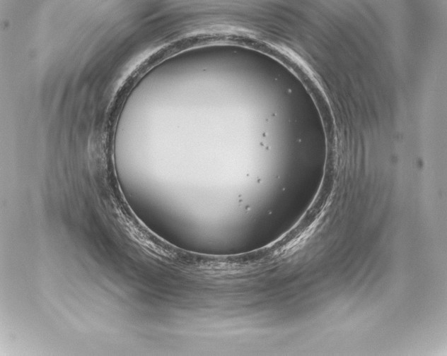 X0000060240783200511111928