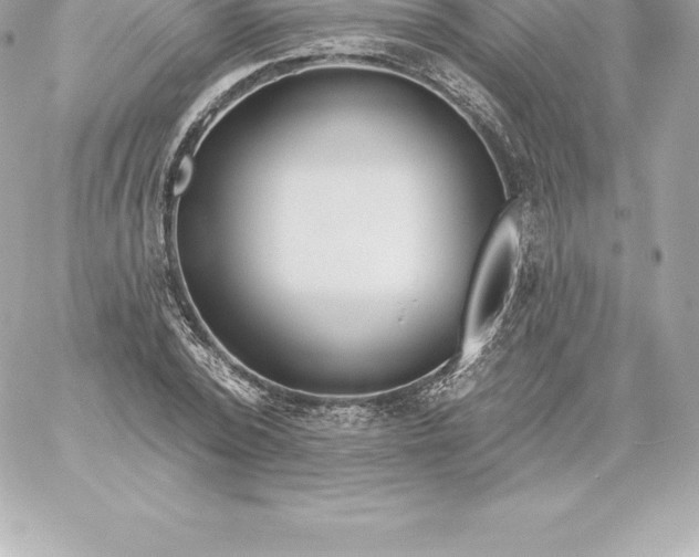 X0000060240784200511111928