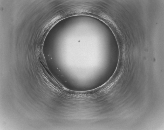 X0000060240785200511111928