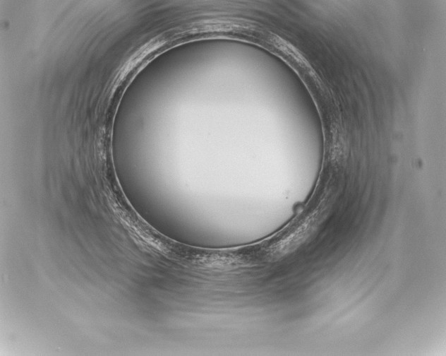 X0000060240786200511111928