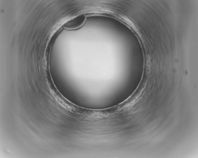 X0000060240787200511111928