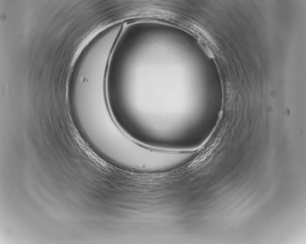 X0000060240788200511111928