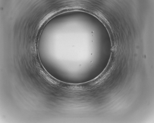 X0000060240789200511111928