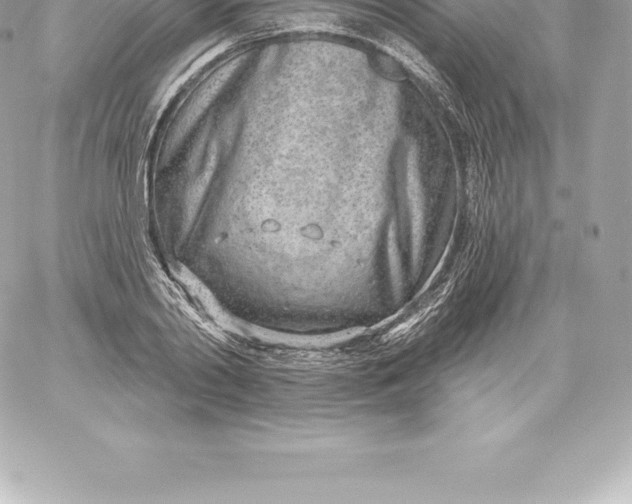 X0000060240790200511111928