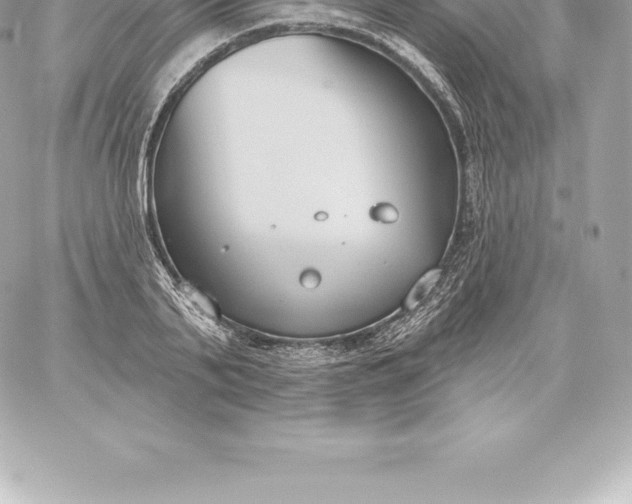 X0000060240791200511111928