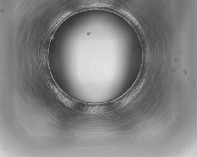 X0000060240793200511111928