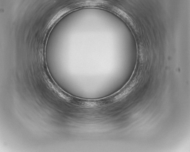 X0000060240794200511111928