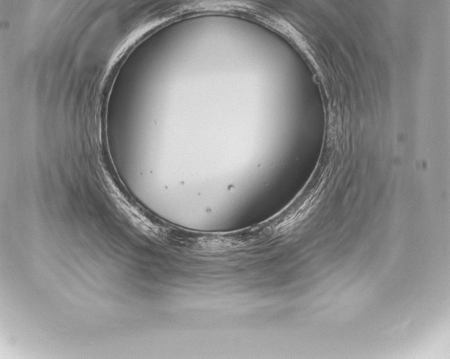 X0000060240795200511111928