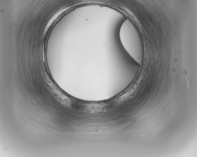 X0000060240796200511111928