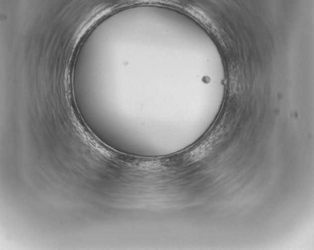 X0000060240798200511111928