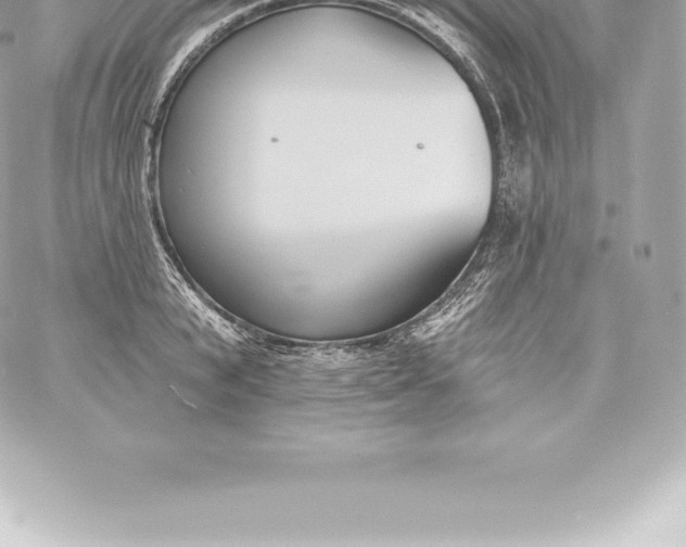 X0000060240799200511111928