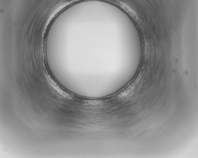 X0000060240800200511111928