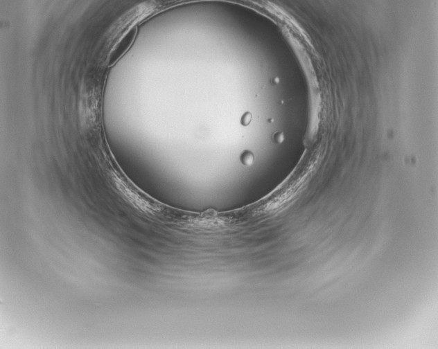 X0000060240801200511111928