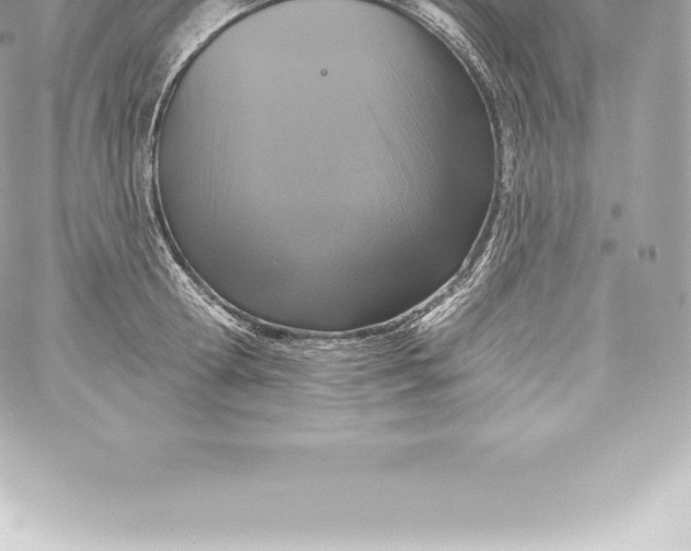 X0000060240802200511111928