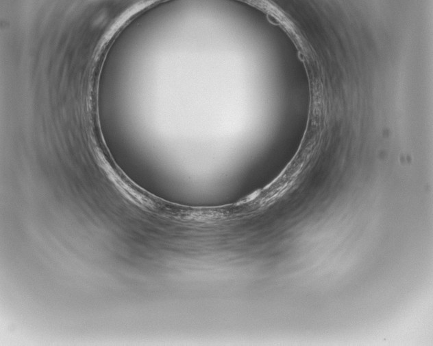 X0000060240803200511111928