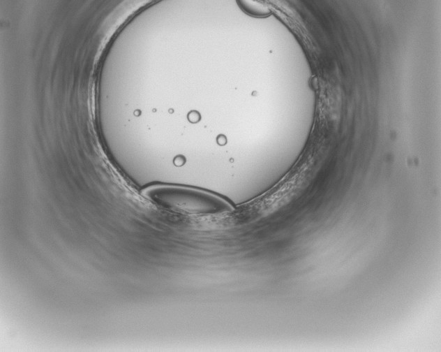 X0000060240804200511111928