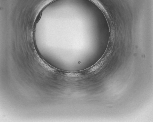 X0000060240805200511111928