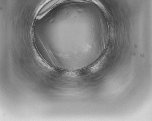 X0000060240806200511111928