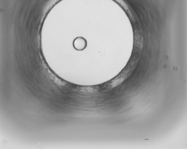 X0000060240807200511111928