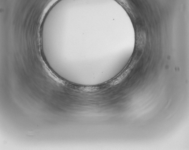 X0000060240808200511111928