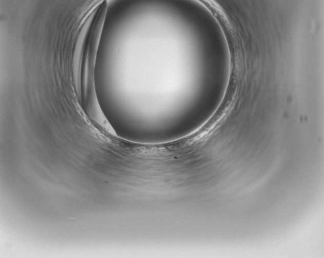 X0000060240809200511111928