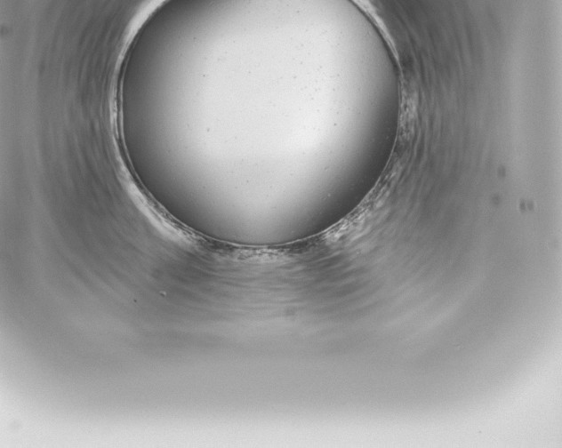 X0000060240811200511111928