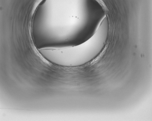 X0000060240812200511111928