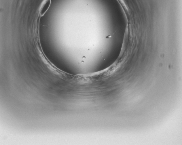 X0000060240815200511111928