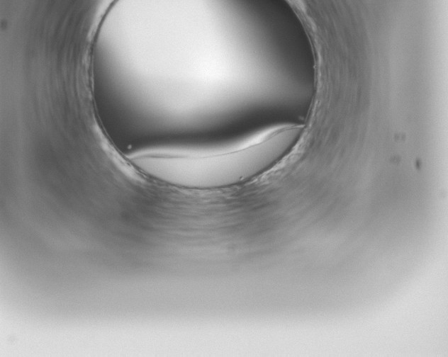 X0000060240816200511111928