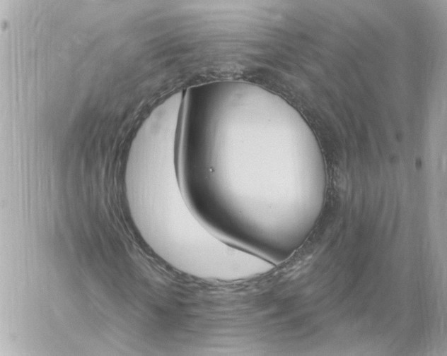 X0000060240818200511111927