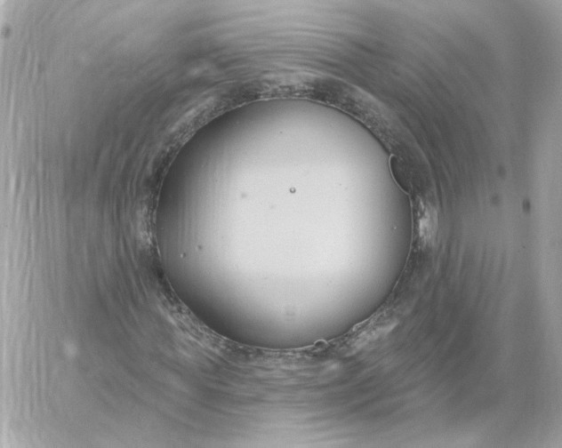 X0000060240819200511111927