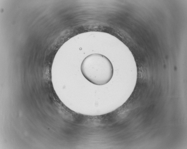 X0000060240820200511111927