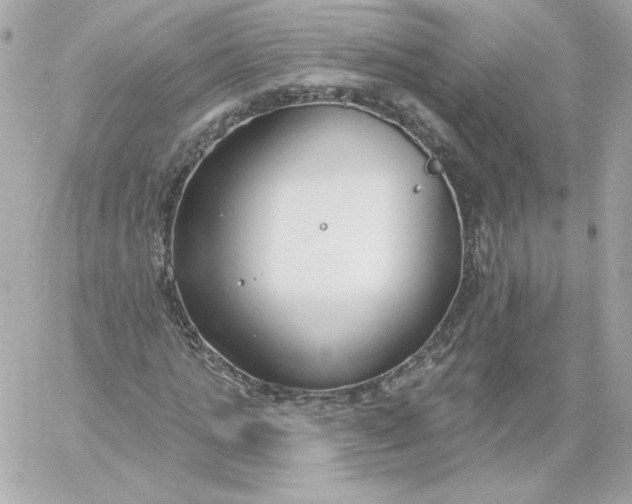 X0000060240821200511111927