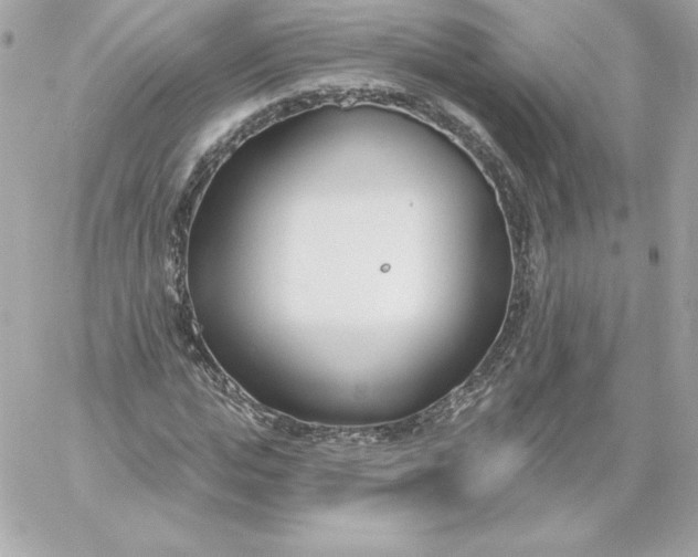 X0000060240823200511111927