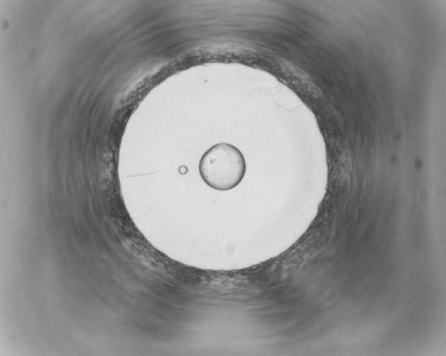 X0000060240824200511111927