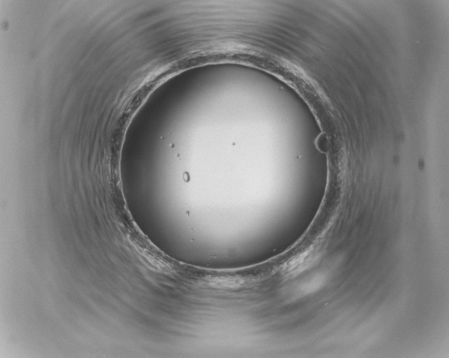 X0000060240825200511111927