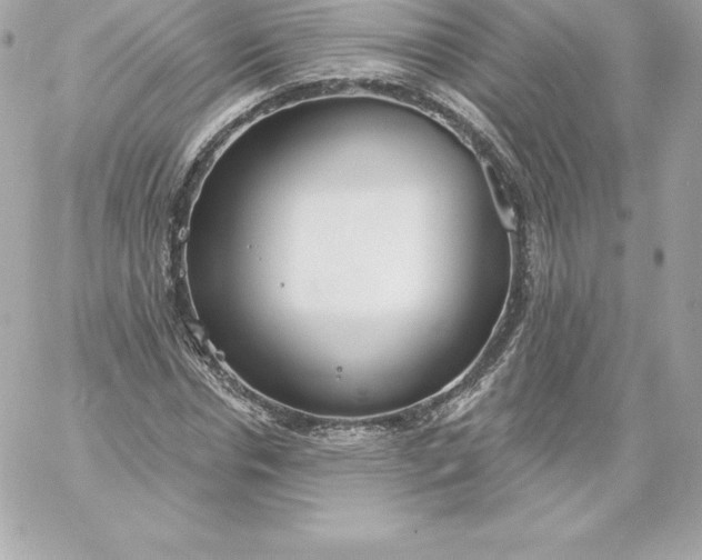 X0000060240826200511111927