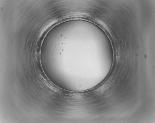 X0000060240827200511111927