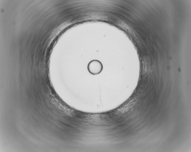 X0000060240828200511111927