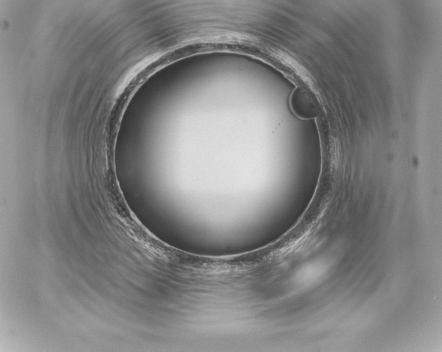 X0000060240829200511111927